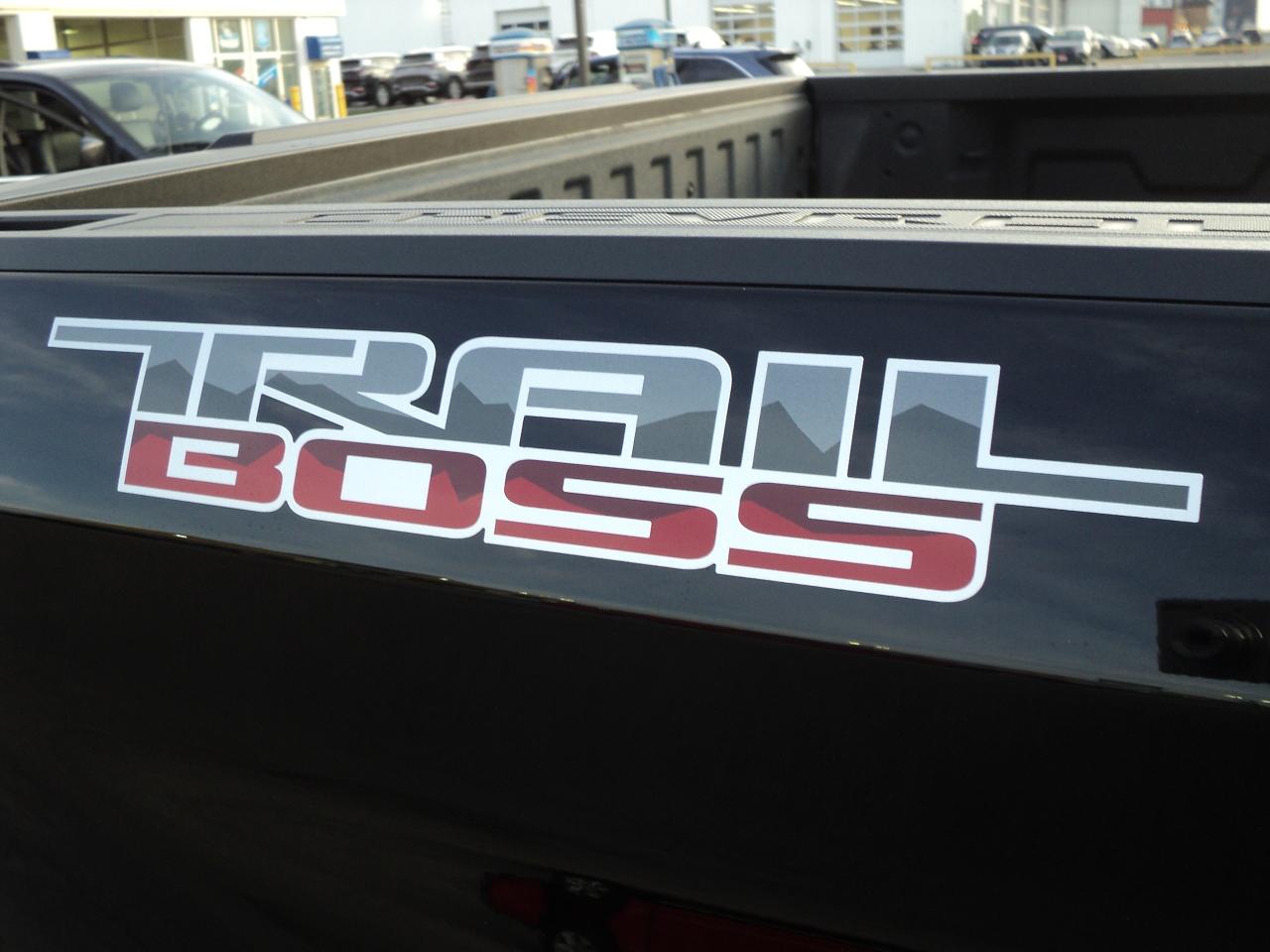 2023 Chevrolet Silverado 1500 CustomTrailBoss CrewCab 4WD Z71 5.3L8cyl 5'9"Box - Photo #25