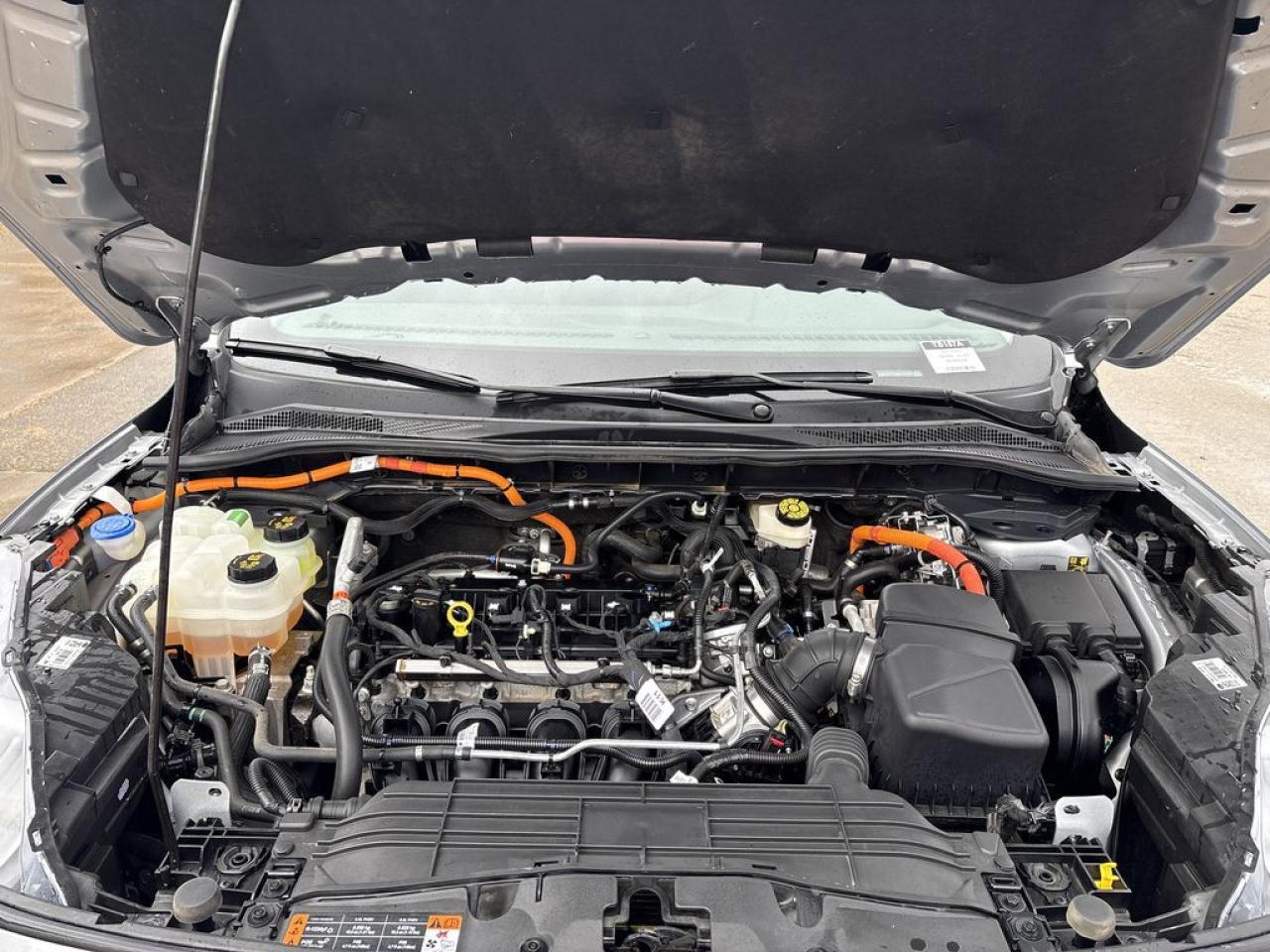 2021 Ford Escape Titanium Hybrid Photo5