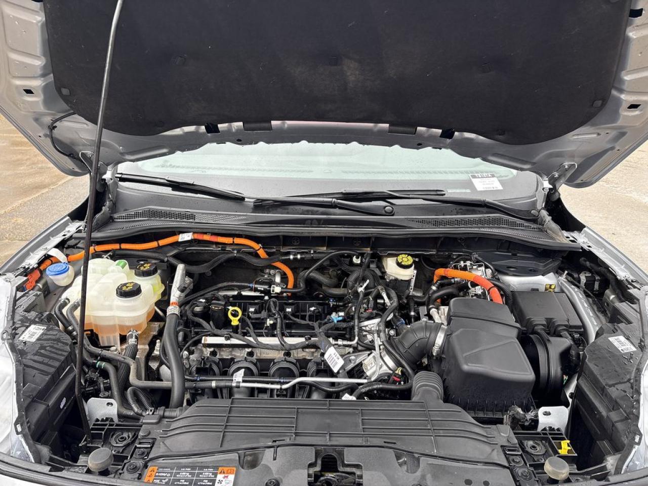 2021 Ford Escape Titanium Hybrid Photo5