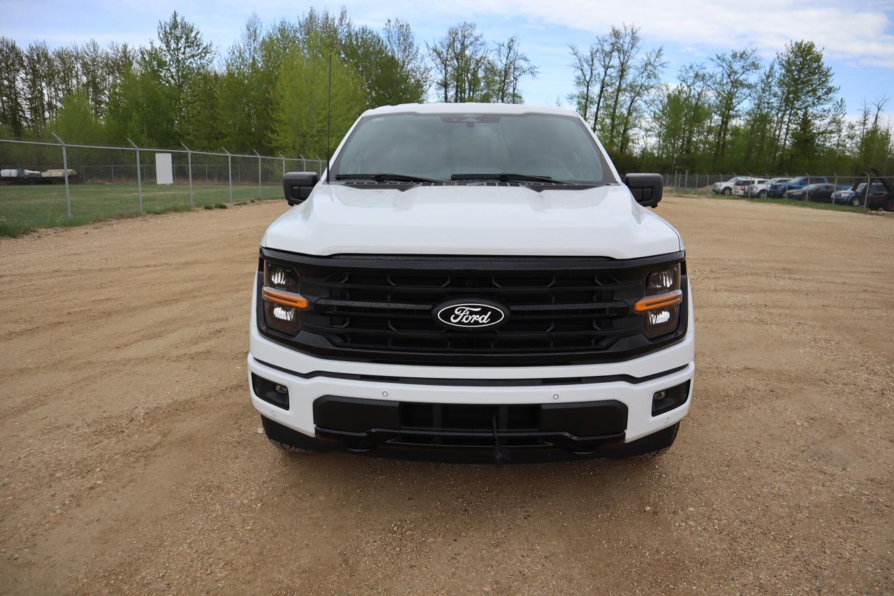 2025 Ford F-150 XLT Photo5