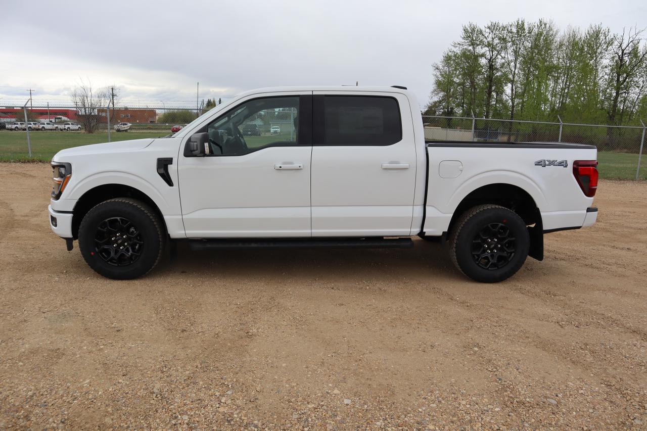 2025 Ford F-150 XLT Photo5