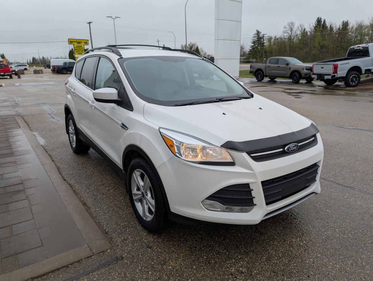 2013 Ford Escape SE Photo3