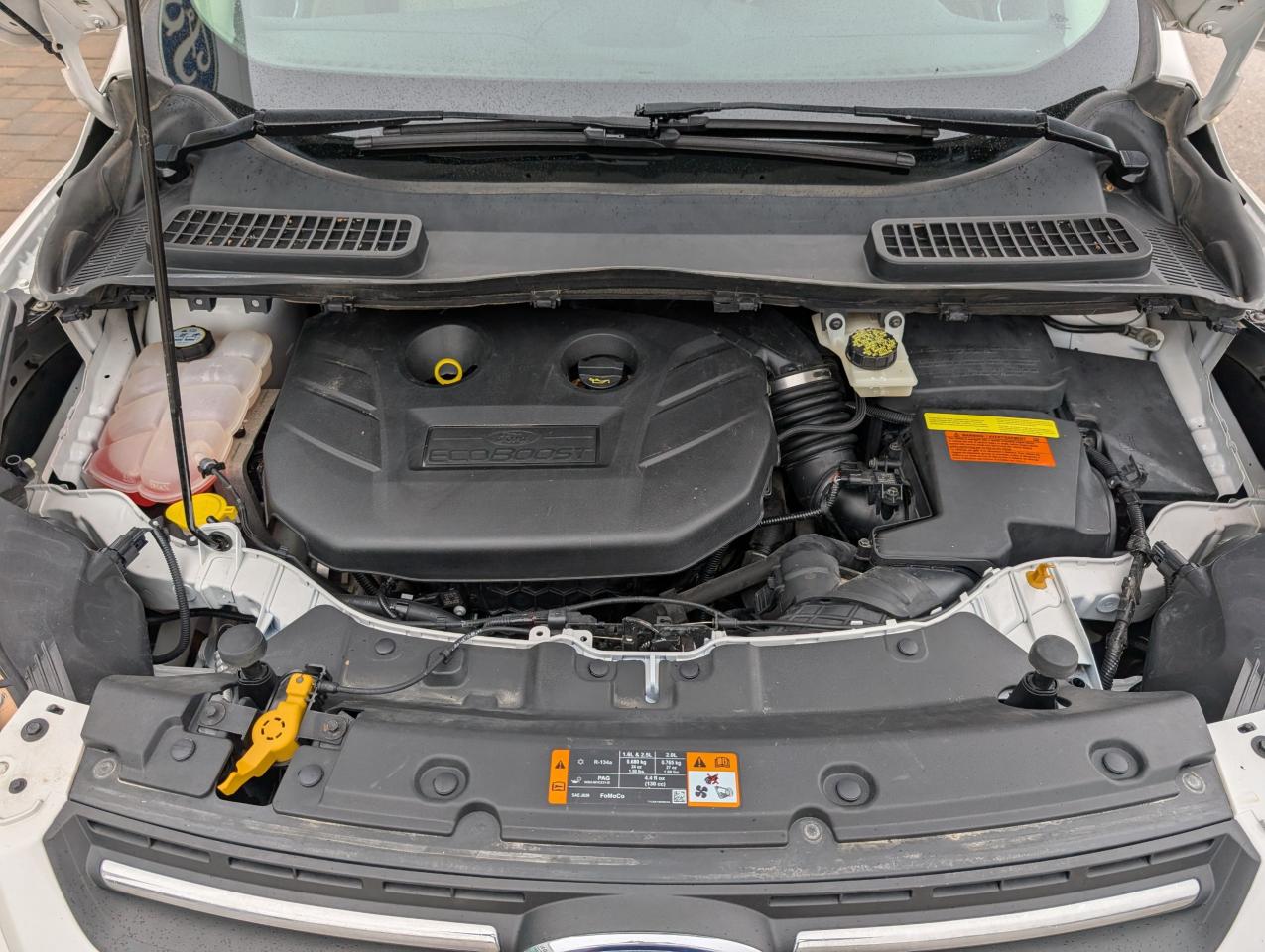 2013 Ford Escape SE Photo5