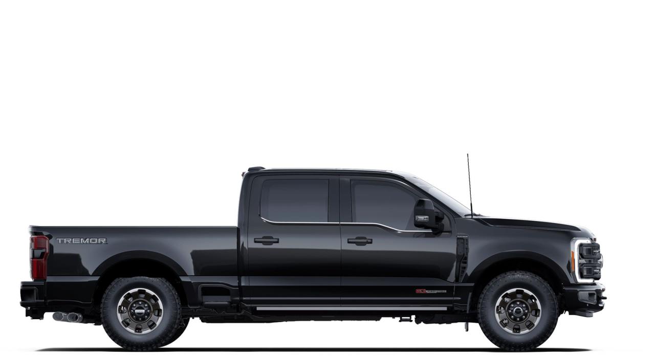 2025 Ford F-350 Super Duty SRW PLATINUM Photo4