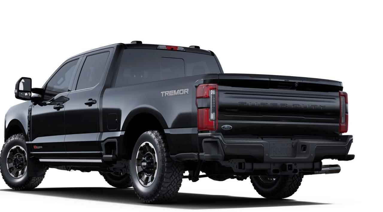 2025 Ford F-350 Super Duty SRW PLATINUM Photo1
