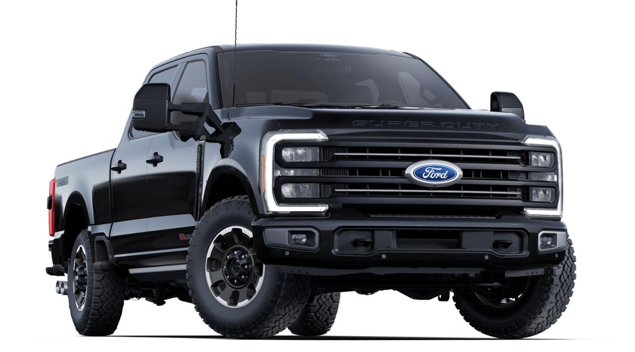 2025 Ford F-350 Super Duty SRW PLATINUM Photo