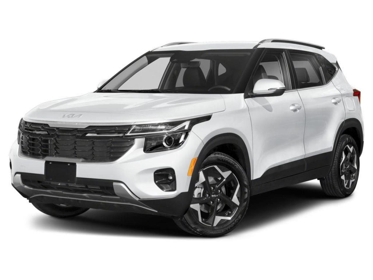 New 2025 Kia Seltos EX PREMIUM for sale in Chatham, ON