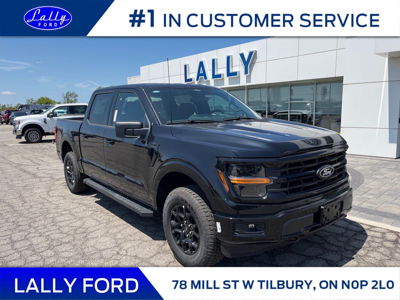 New 2025 Ford F-150 XLT for sale in Tilbury, ON