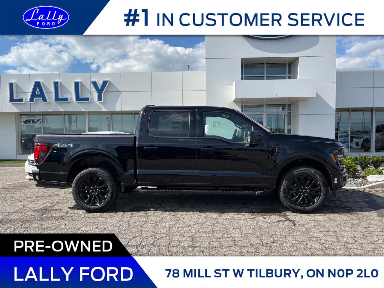 2025 Ford F-150 XLT Photo