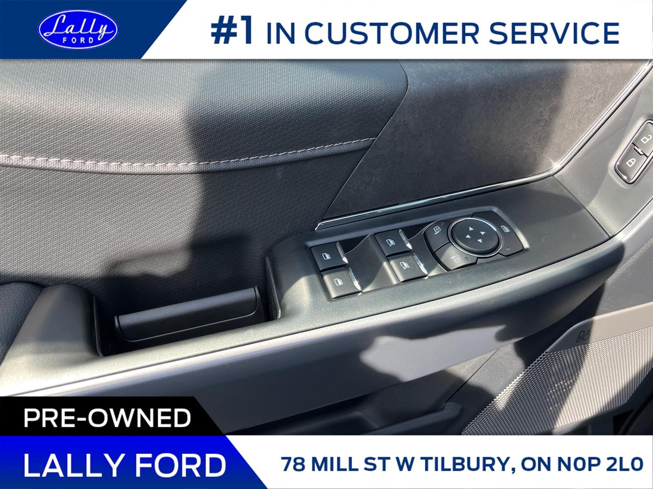 2025 Ford F-150 XLT Photo