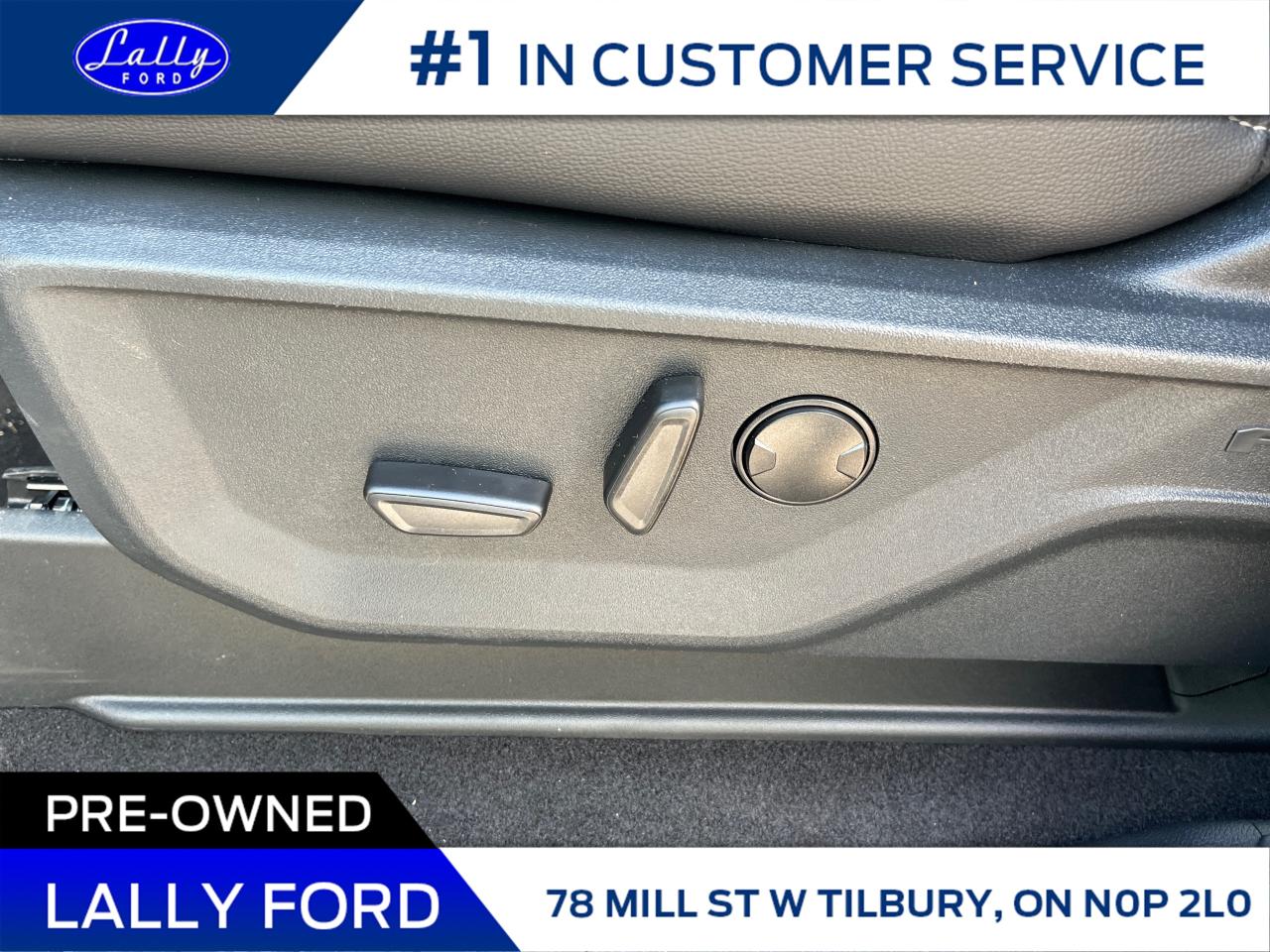 2025 Ford F-150 XLT Photo