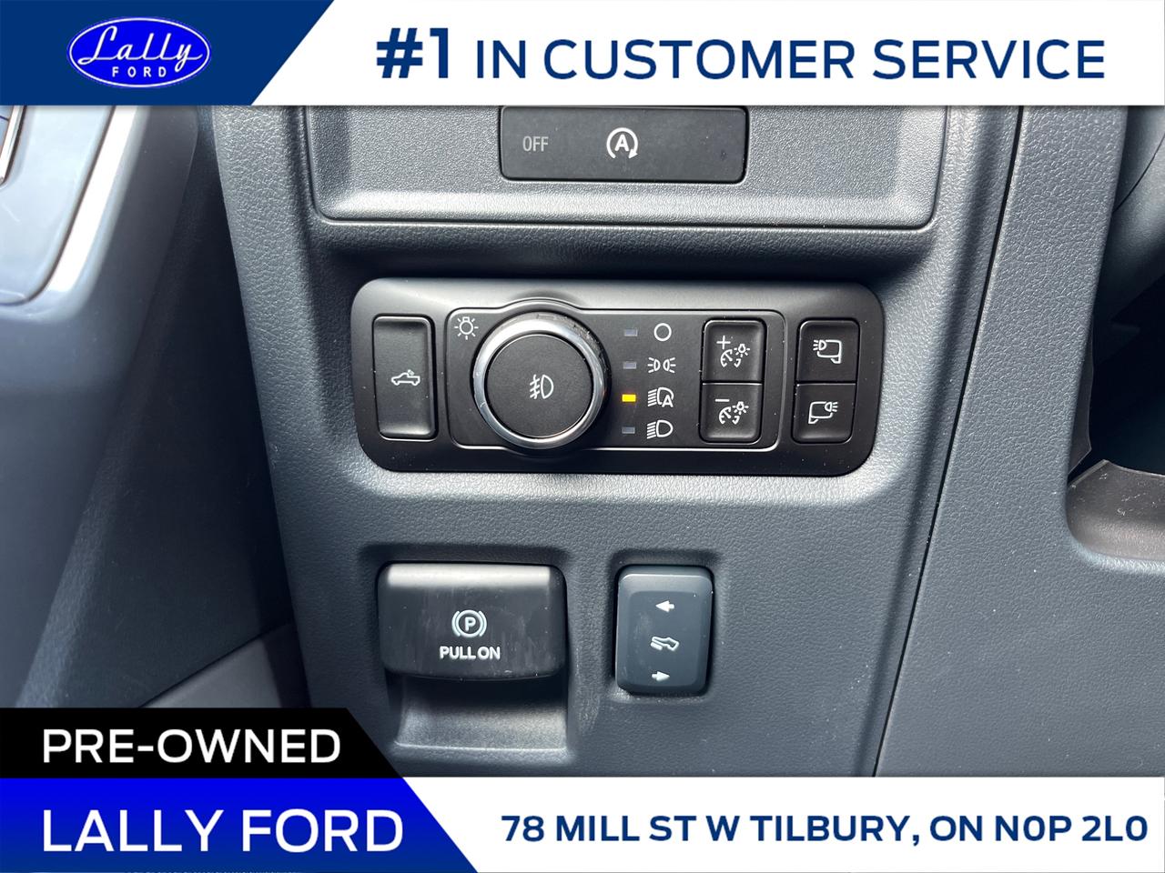 2025 Ford F-150 XLT Photo