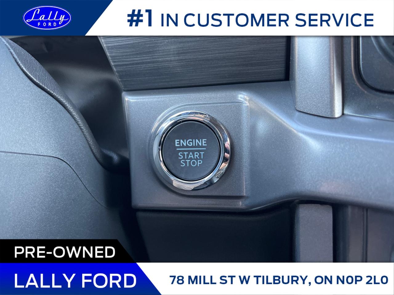 2025 Ford F-150 XLT Photo