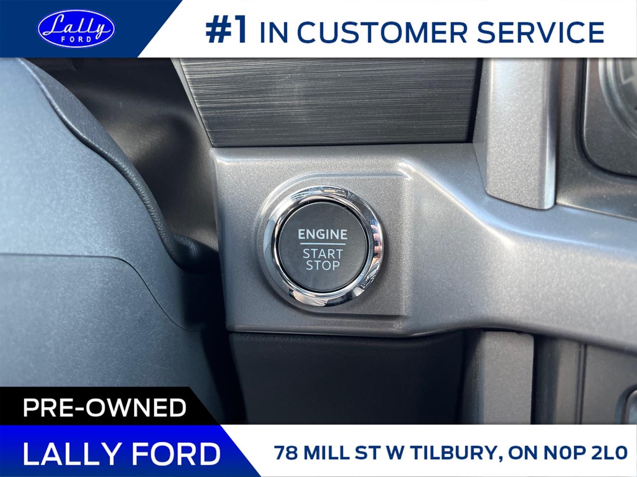 2025 Ford F-150 XLT Photo