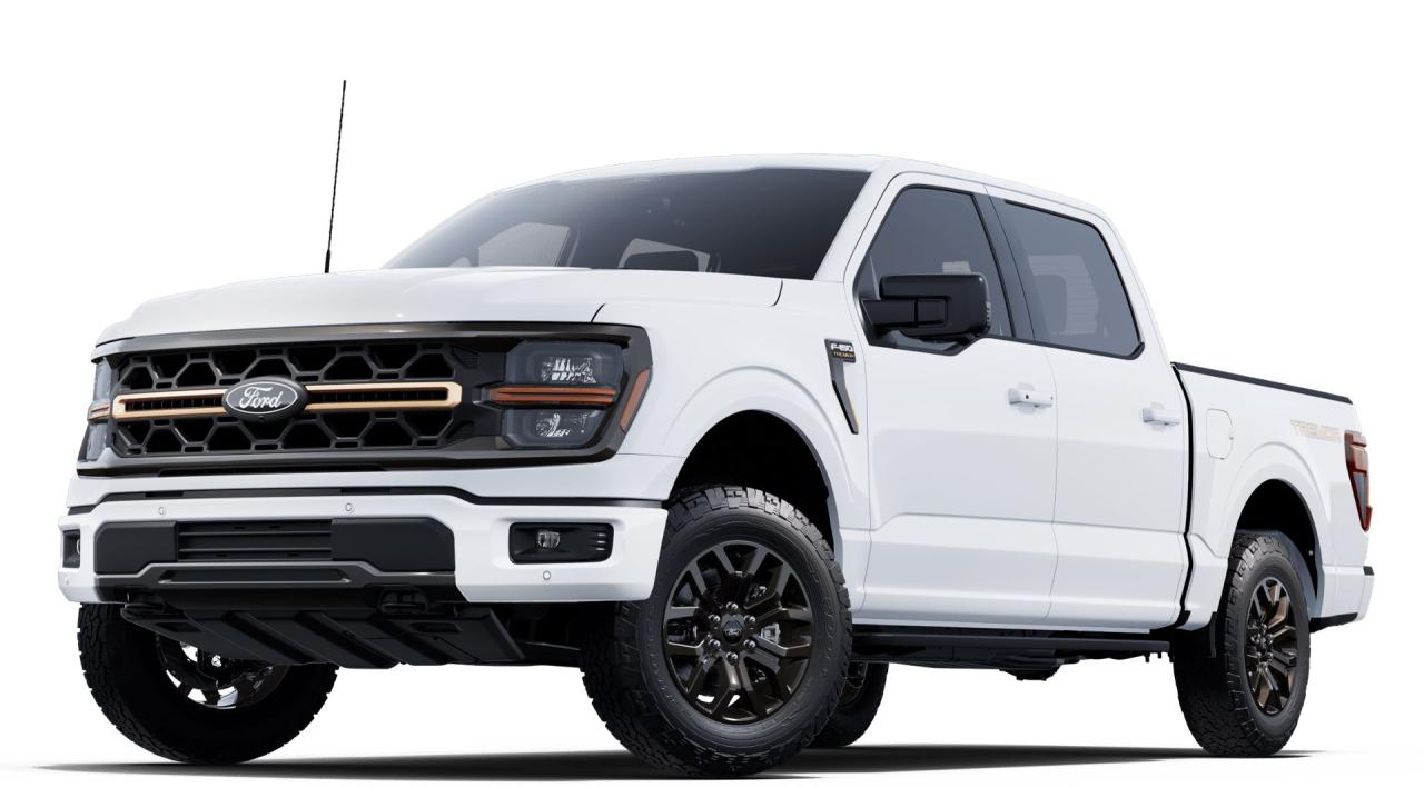 New 2025 Ford F-150 Tremor® for sale in Woodstock, NB