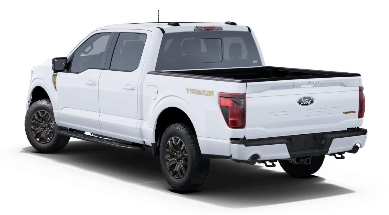 2025 Ford F-150 Tremor® Photo