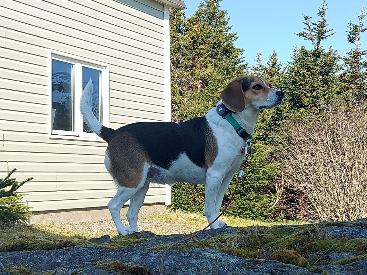 2023 Kia Sorento  - Photo #1