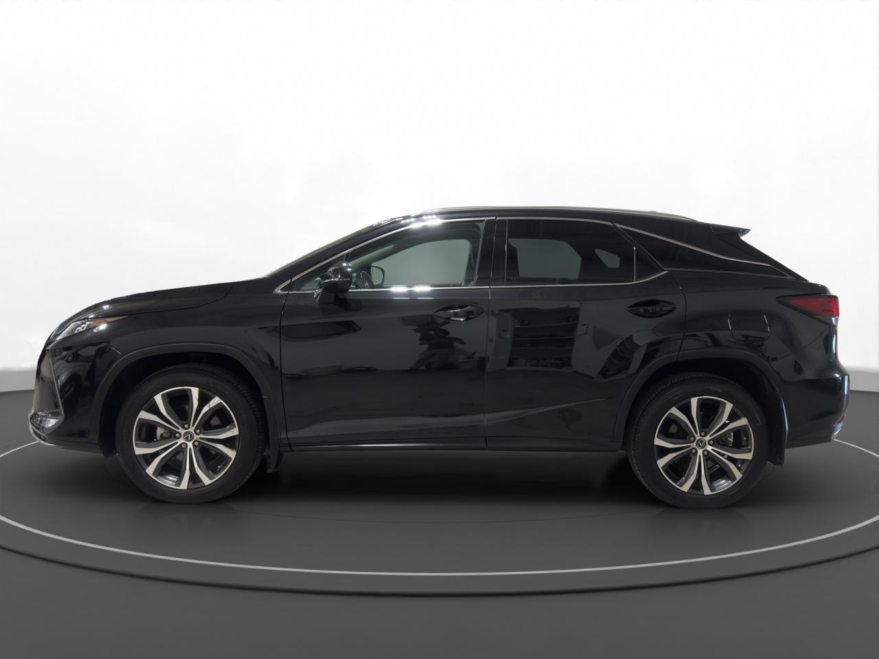2021 Lexus RX 350  - Photo #5