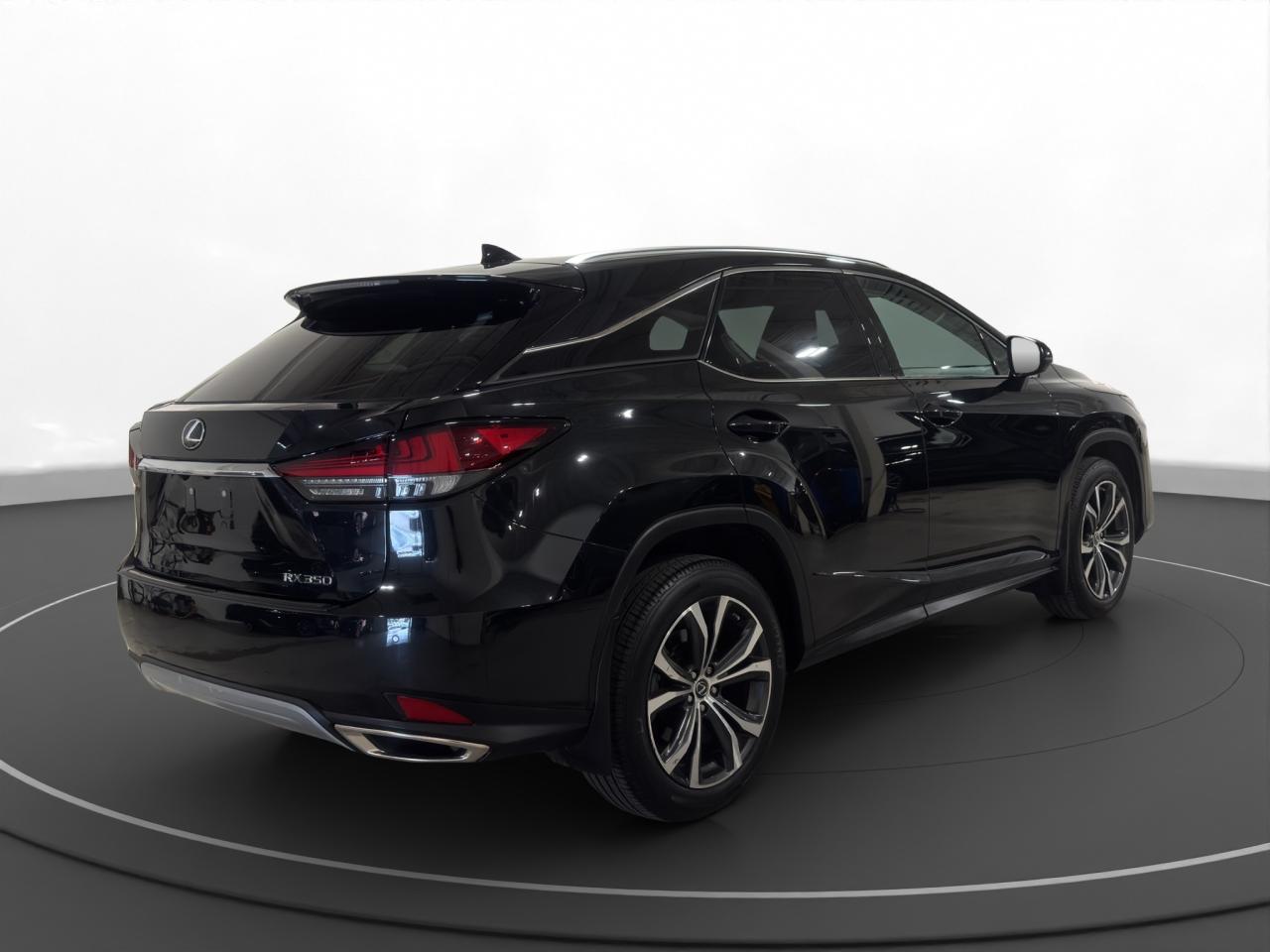 2021 Lexus RX 350  - Photo #8