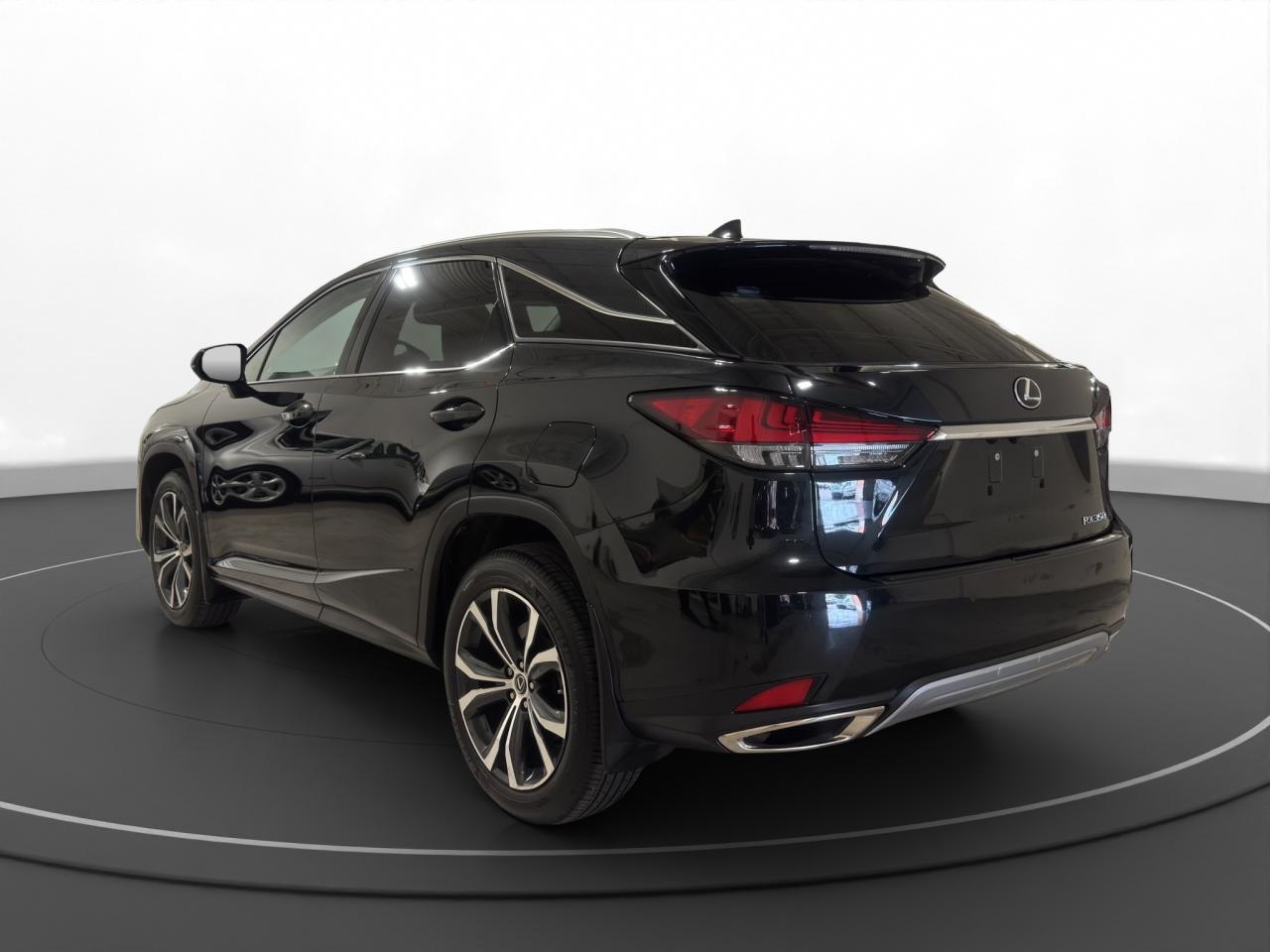2021 Lexus RX 350  - Photo #6