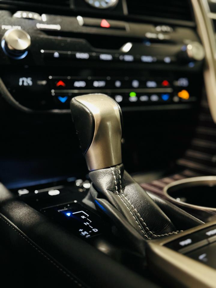 2021 Lexus RX 350  - Photo #16
