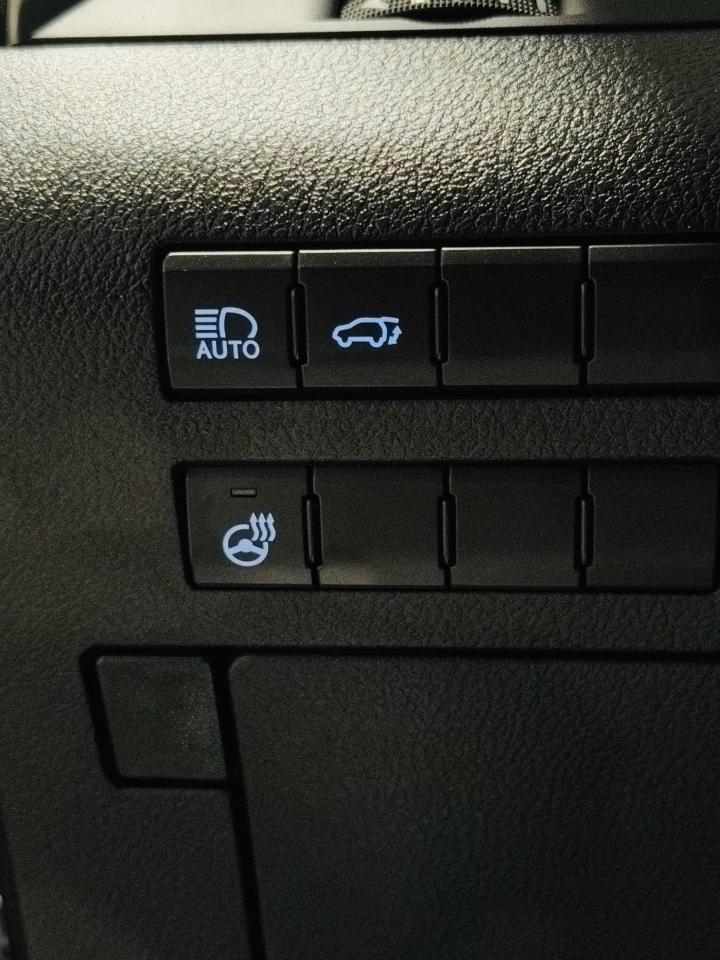2021 Lexus RX 350  - Photo #19