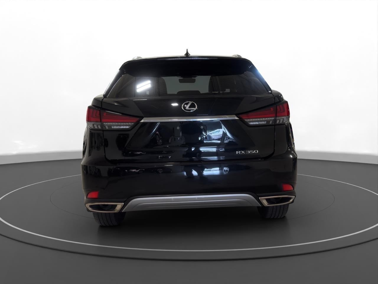 2021 Lexus RX 350  - Photo #7