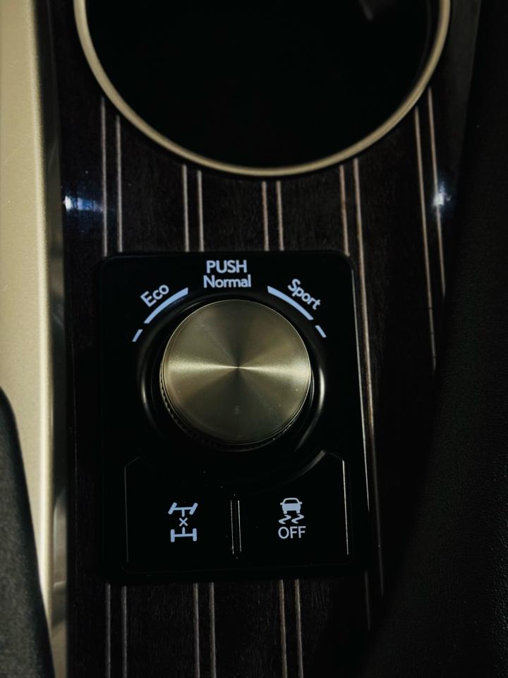2021 Lexus RX 350  - Photo #20