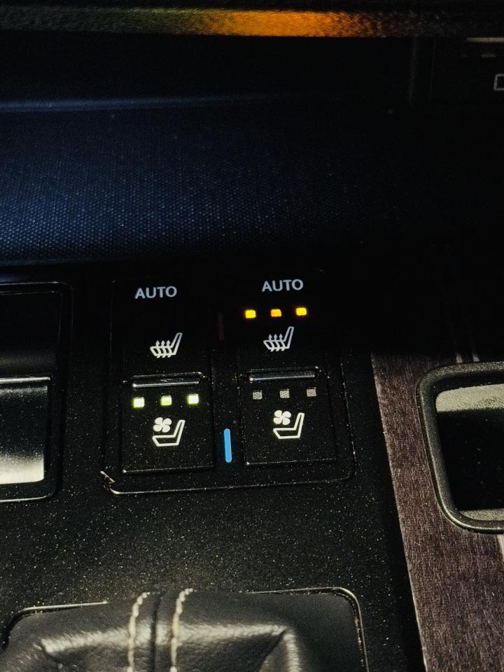 2021 Lexus RX 350  - Photo #18