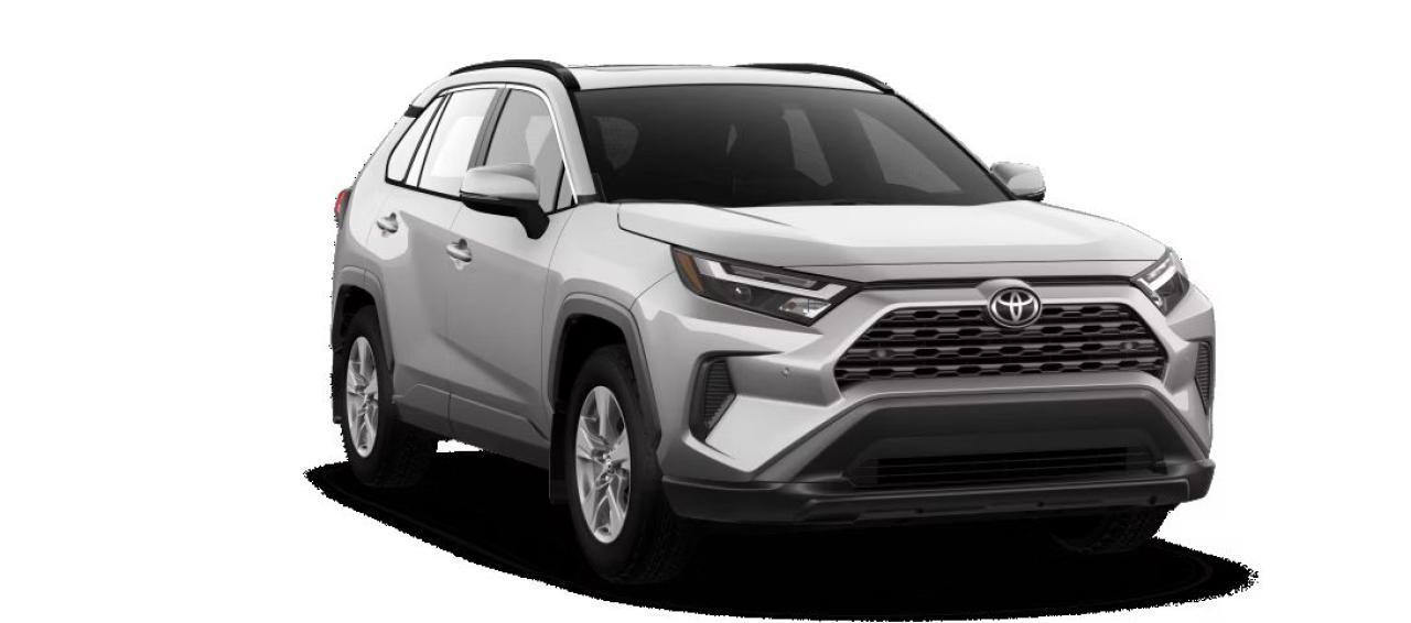 2025 Toyota RAV4 XLE AWD Photo