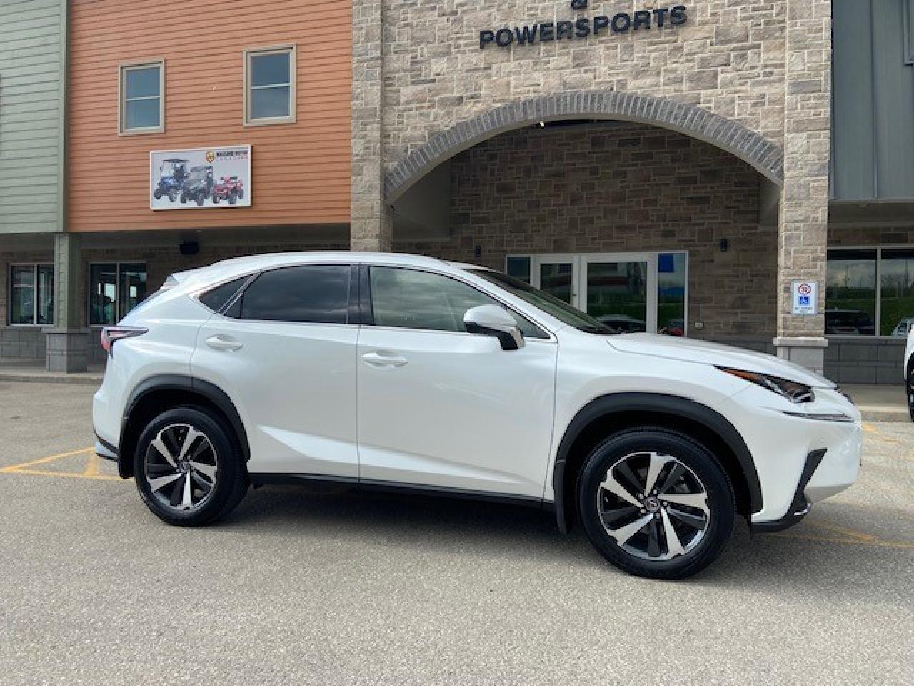 Used 2021 Lexus NX NX 300 AWD for sale in Owen Sound, ON