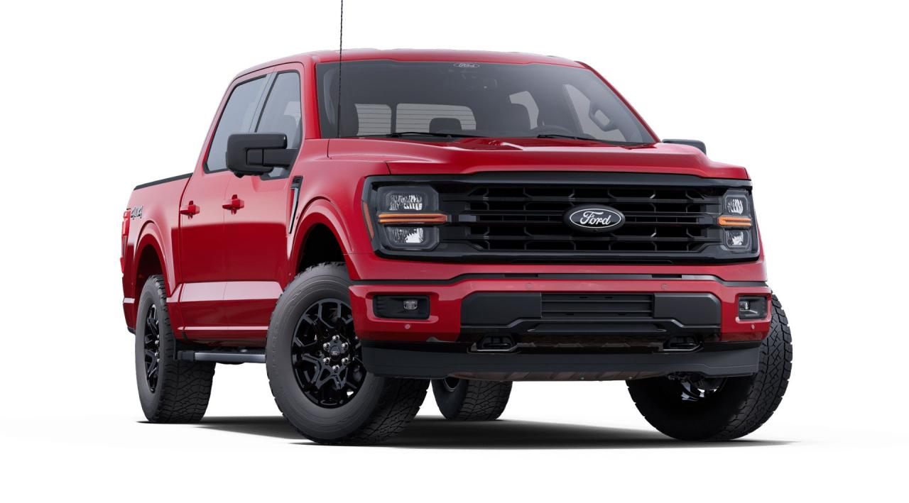 2025 Ford F-150 XLT 4WD SuperCrew 5.5' Box Photo3