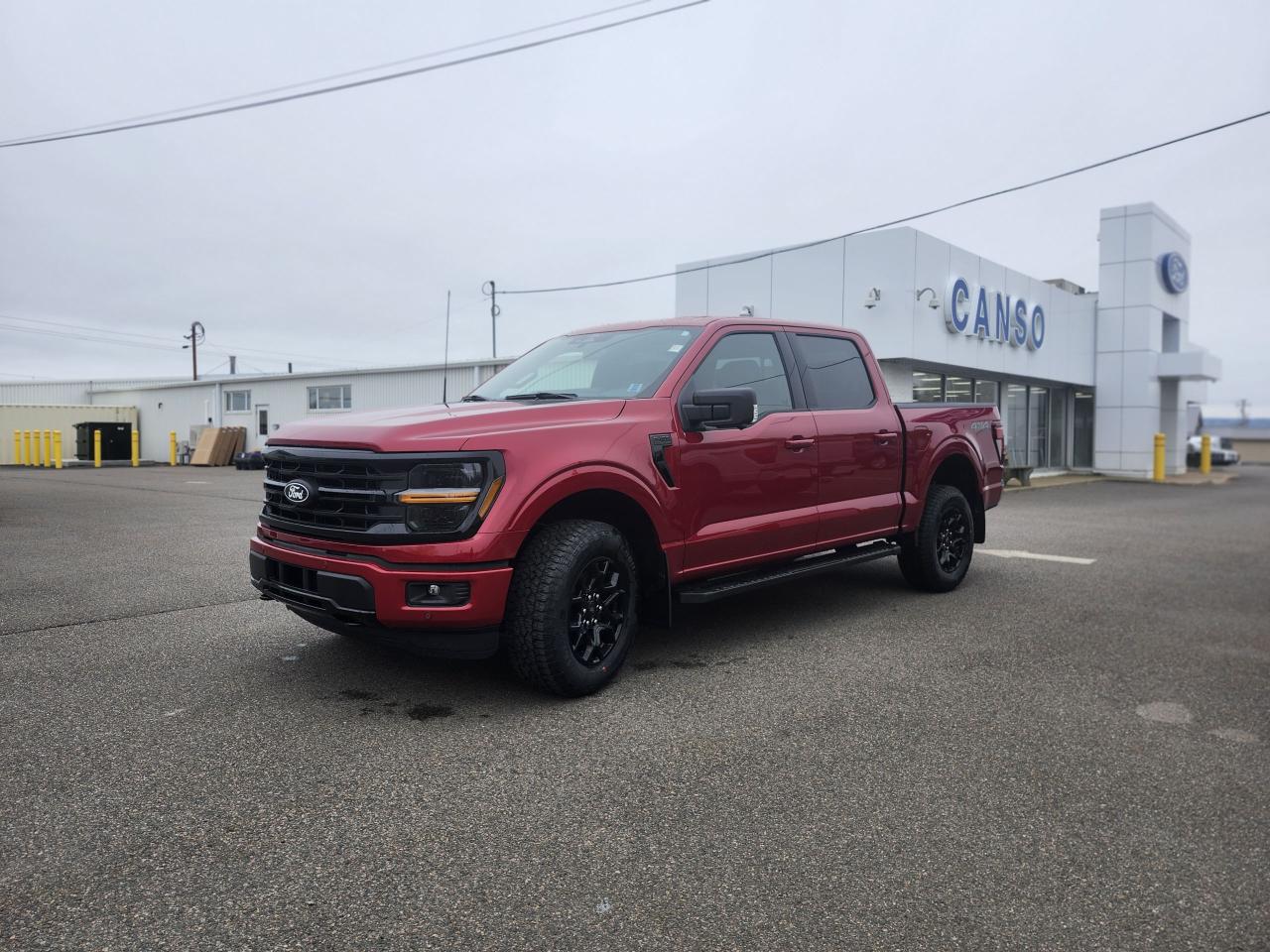 2025 Ford F-150 XLT 4WD SuperCrew 5.5' Box Photo5