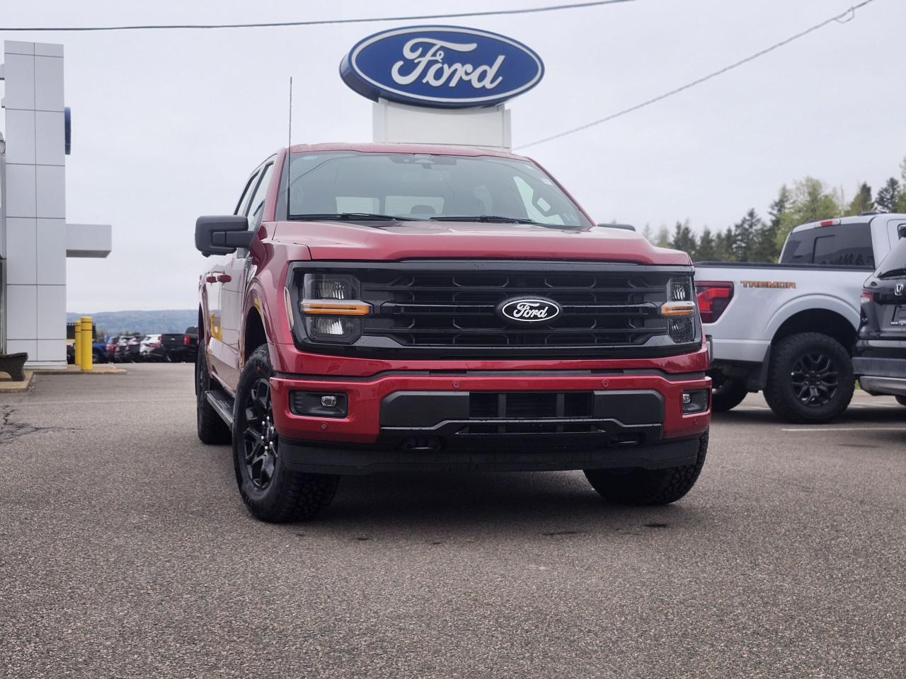 New 2025 Ford F-150 XLT 4WD SuperCrew 5.5' Box for sale in Port Hawkesbury, NS