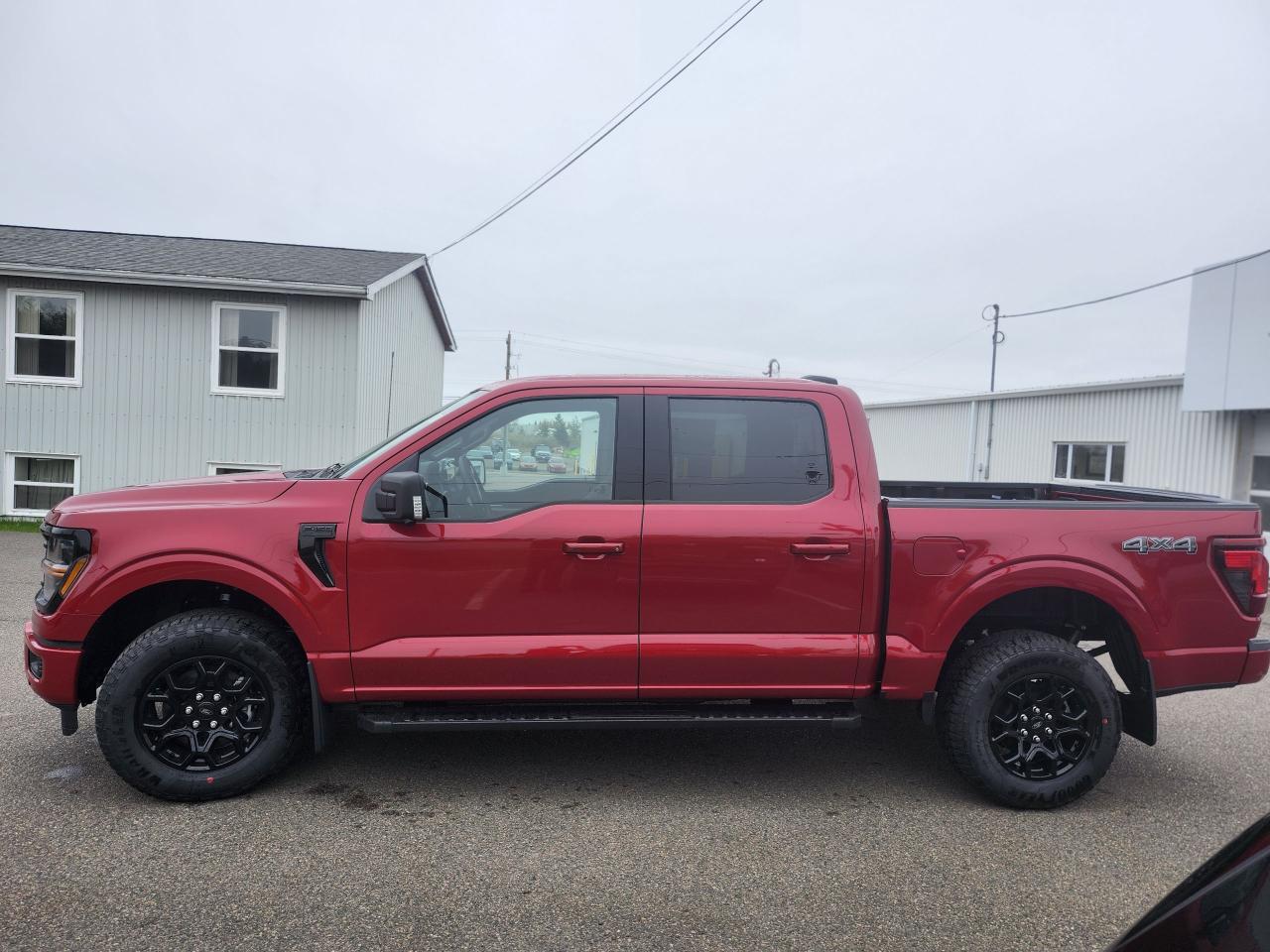 2025 Ford F-150 XLT 4WD SuperCrew 5.5' Box Photo5