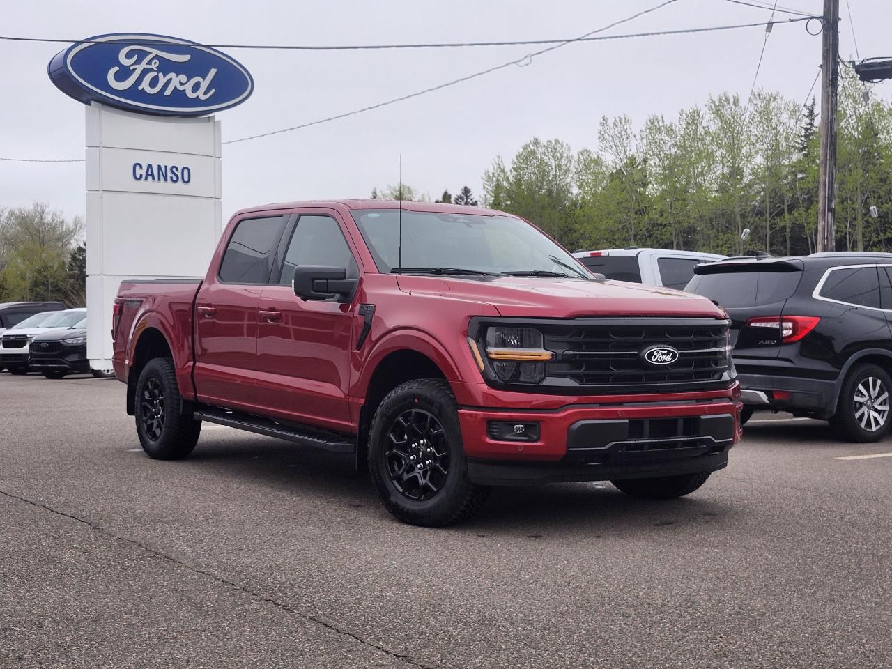2025 Ford F-150 XLT 4WD SuperCrew 5.5' Box Photo