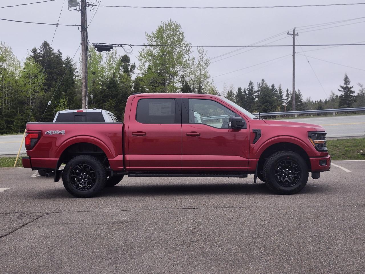 2025 Ford F-150 XLT 4WD SuperCrew 5.5' Box Photo2