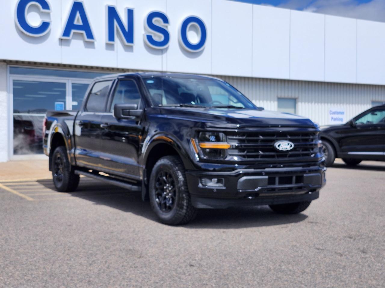 2025 Ford F-150 XLT 4WD SuperCrew 5.5' Box Photo2