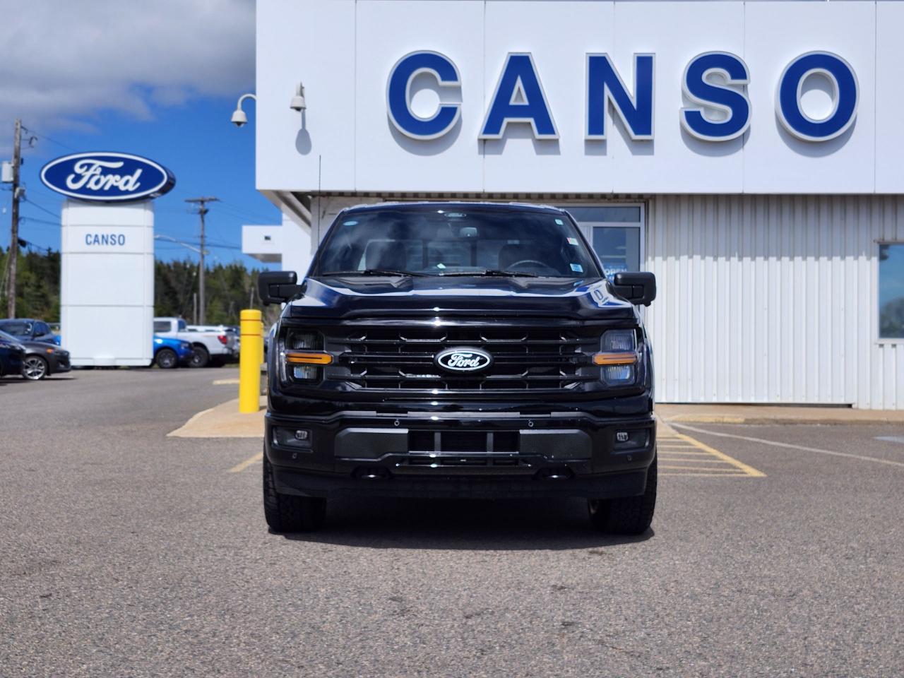 2025 Ford F-150 XLT 4WD SuperCrew 5.5' Box Photo1