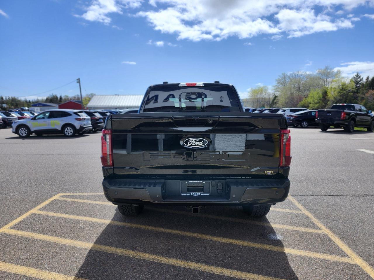 2025 Ford F-150 XLT 4WD SuperCrew 5.5' Box Photo5