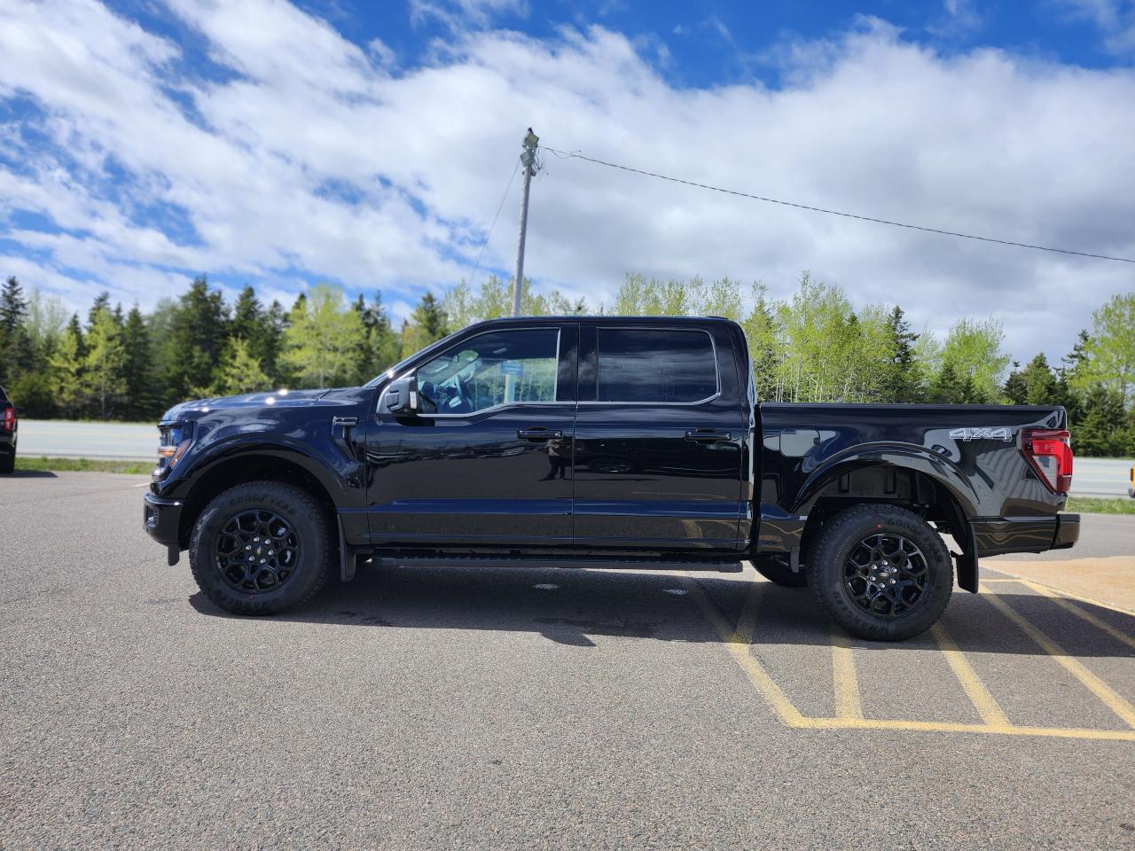2025 Ford F-150 XLT 4WD SuperCrew 5.5' Box Photo5