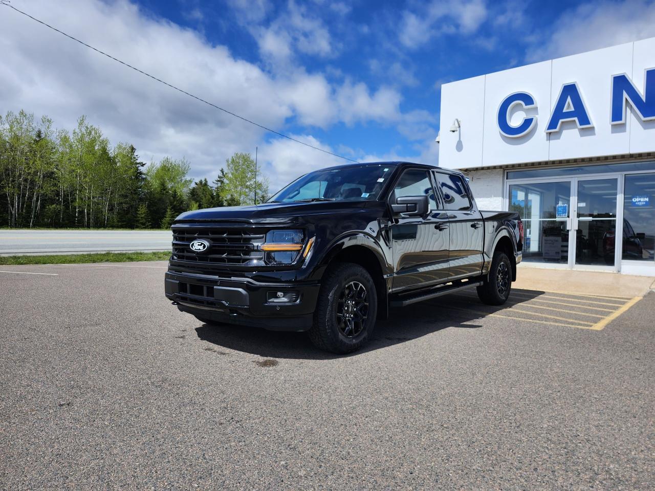 2025 Ford F-150 XLT 4WD SuperCrew 5.5' Box Photo5