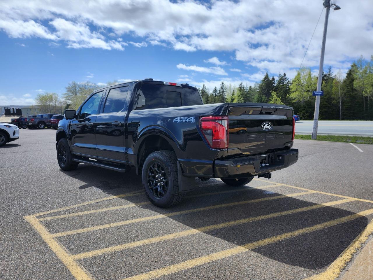 2025 Ford F-150 XLT 4WD SuperCrew 5.5' Box Photo5