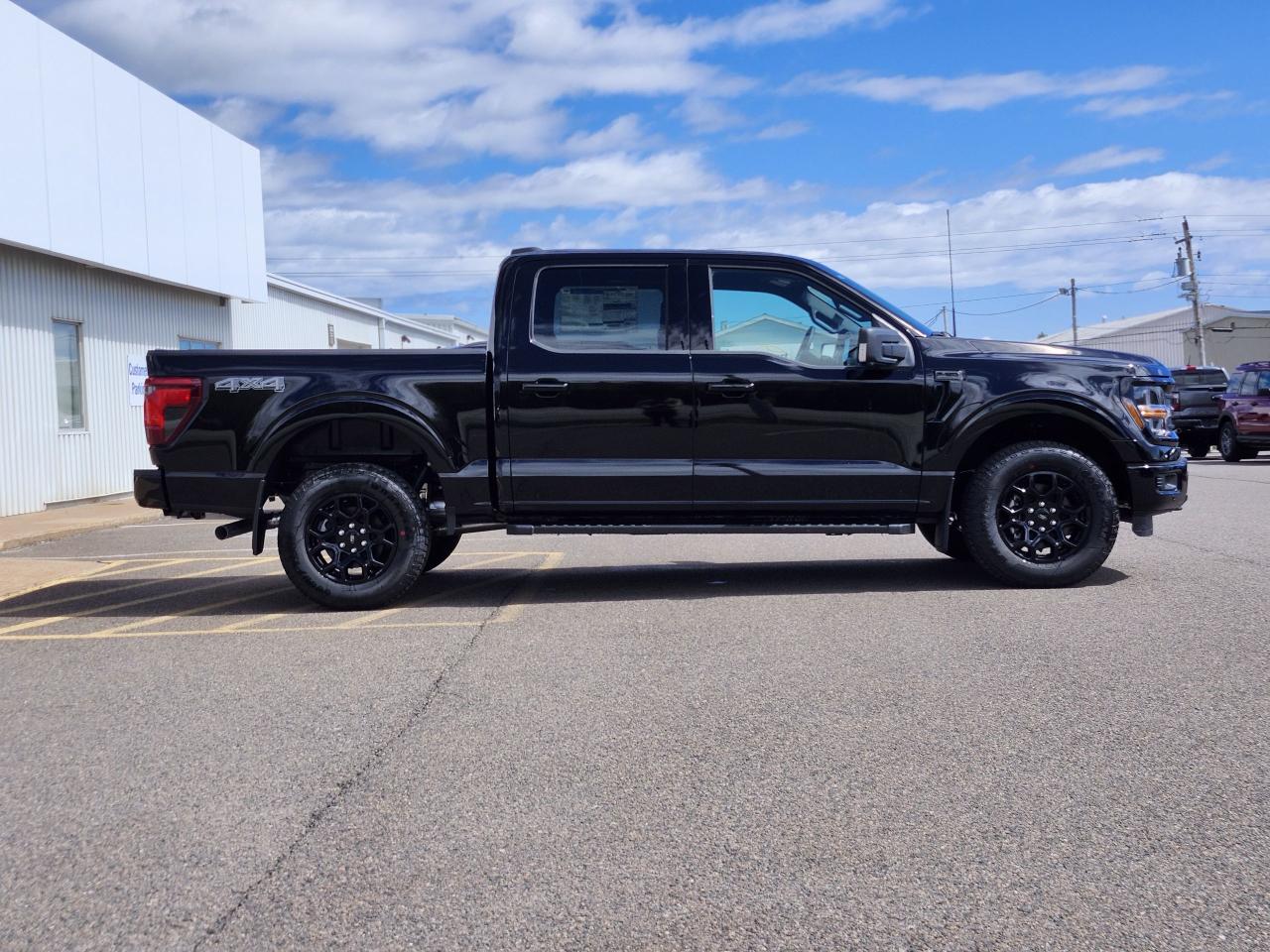 2025 Ford F-150 XLT 4WD SuperCrew 5.5' Box Photo3