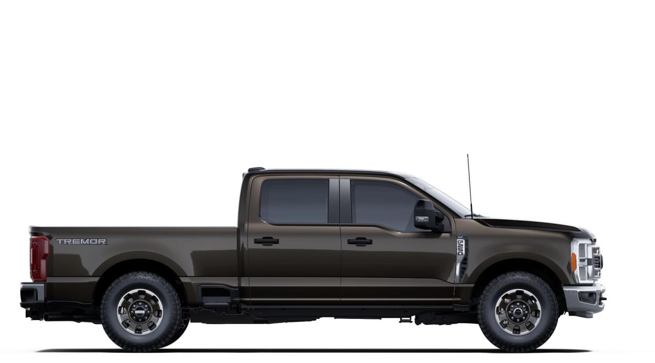 2025 Ford F-250 Super Duty SRW XLT Photo4