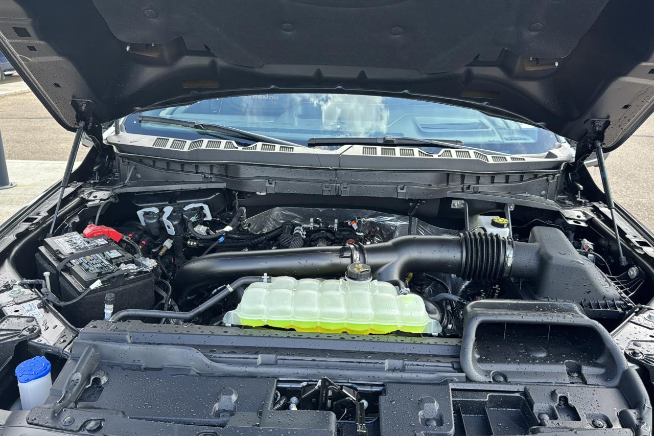 2025 Ford F-150 Tremor Photo5