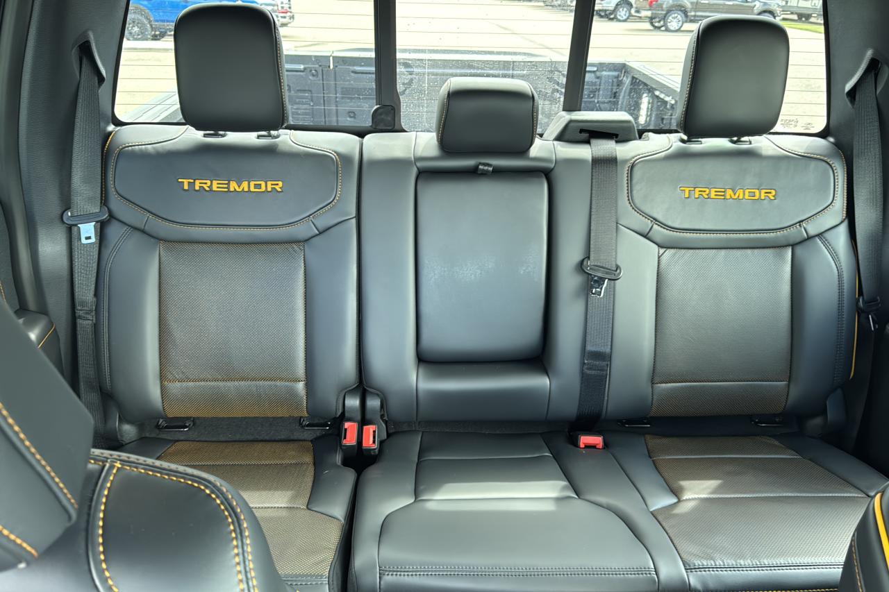 2025 Ford F-150 Tremor Photo5