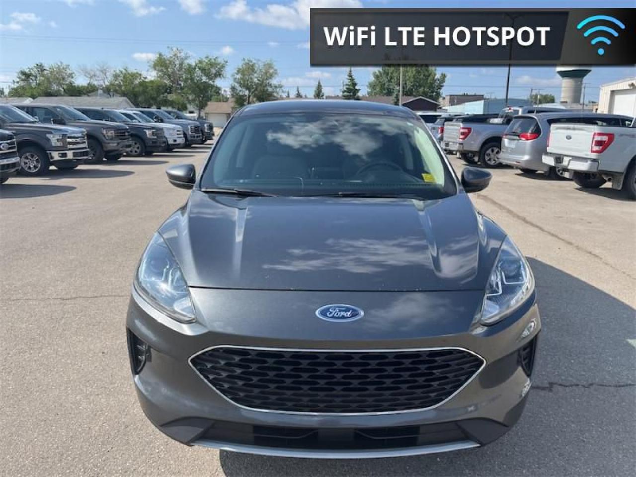 2020 Ford Escape SE  - Heated Seats -  Android Auto Photo