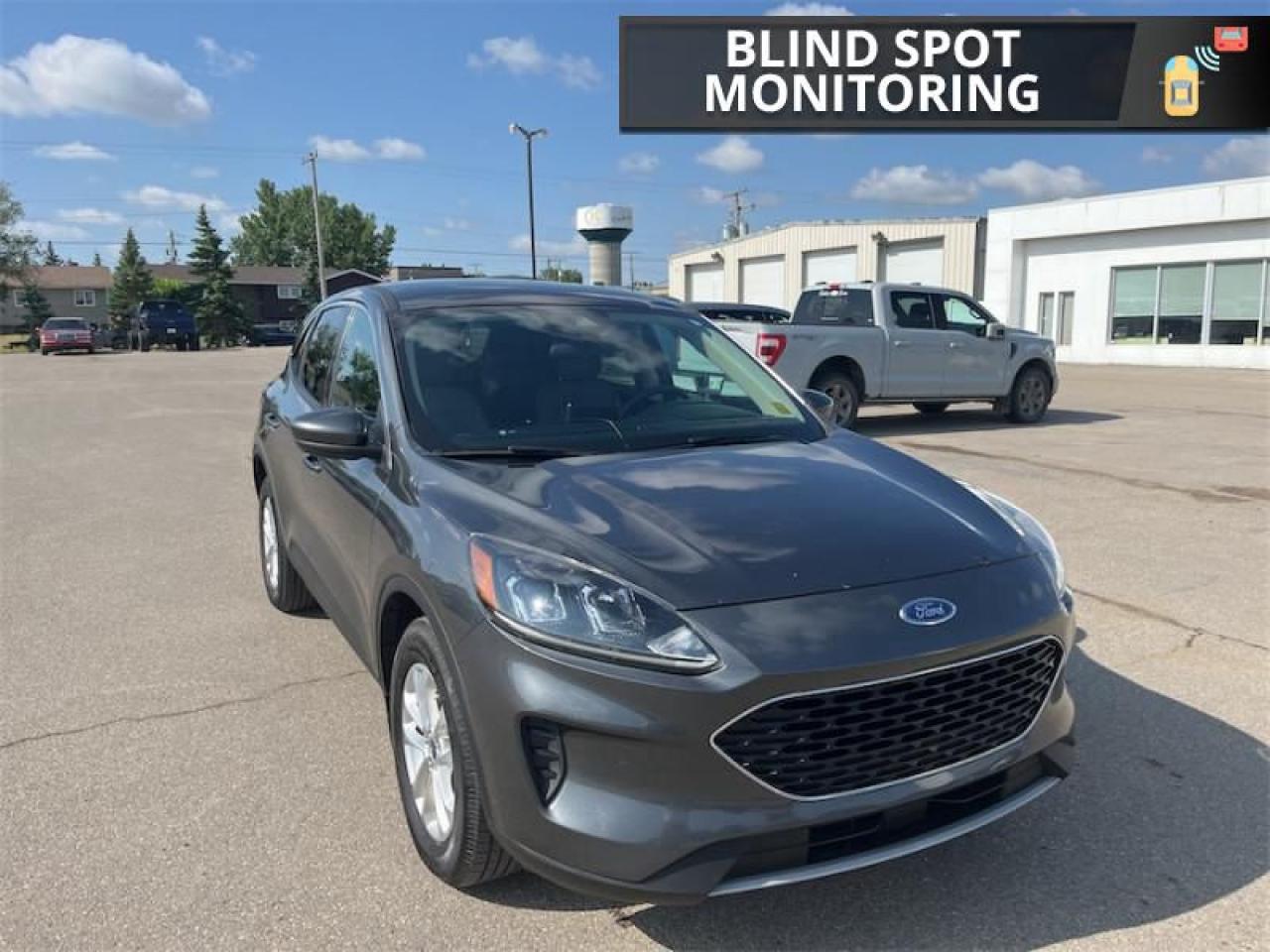 2020 Ford Escape SE  - Heated Seats -  Android Auto Photo