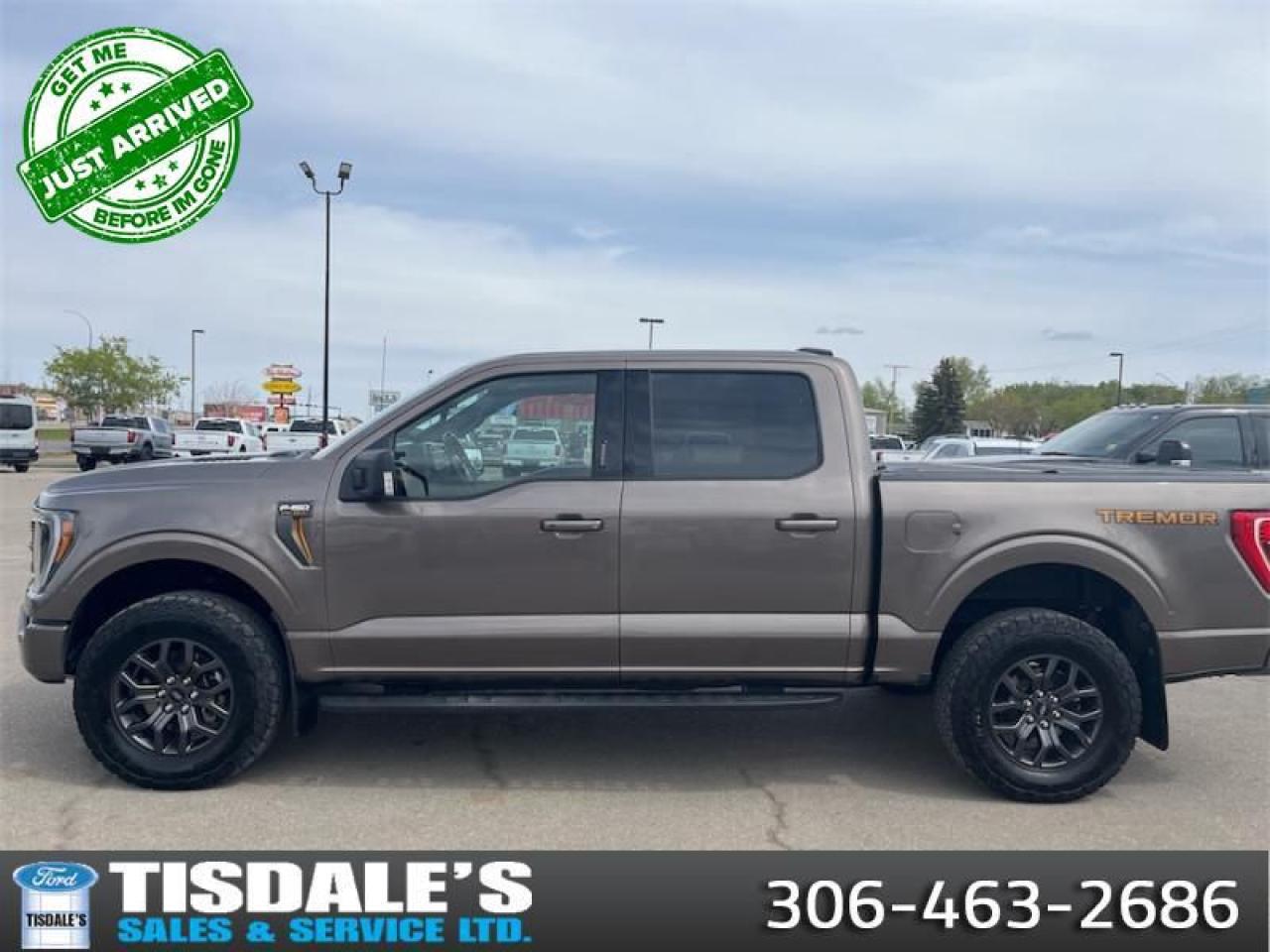 Used 2023 Ford F-150 Tremor  -  Heated Seats for sale in Kindersley, SK